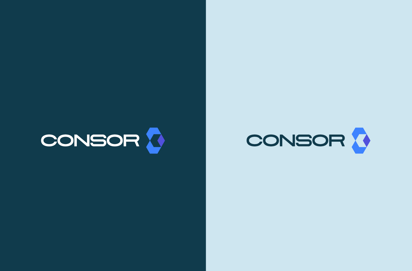 Consor Designs Branding Brisbane – Studeo Ilya Lobanov